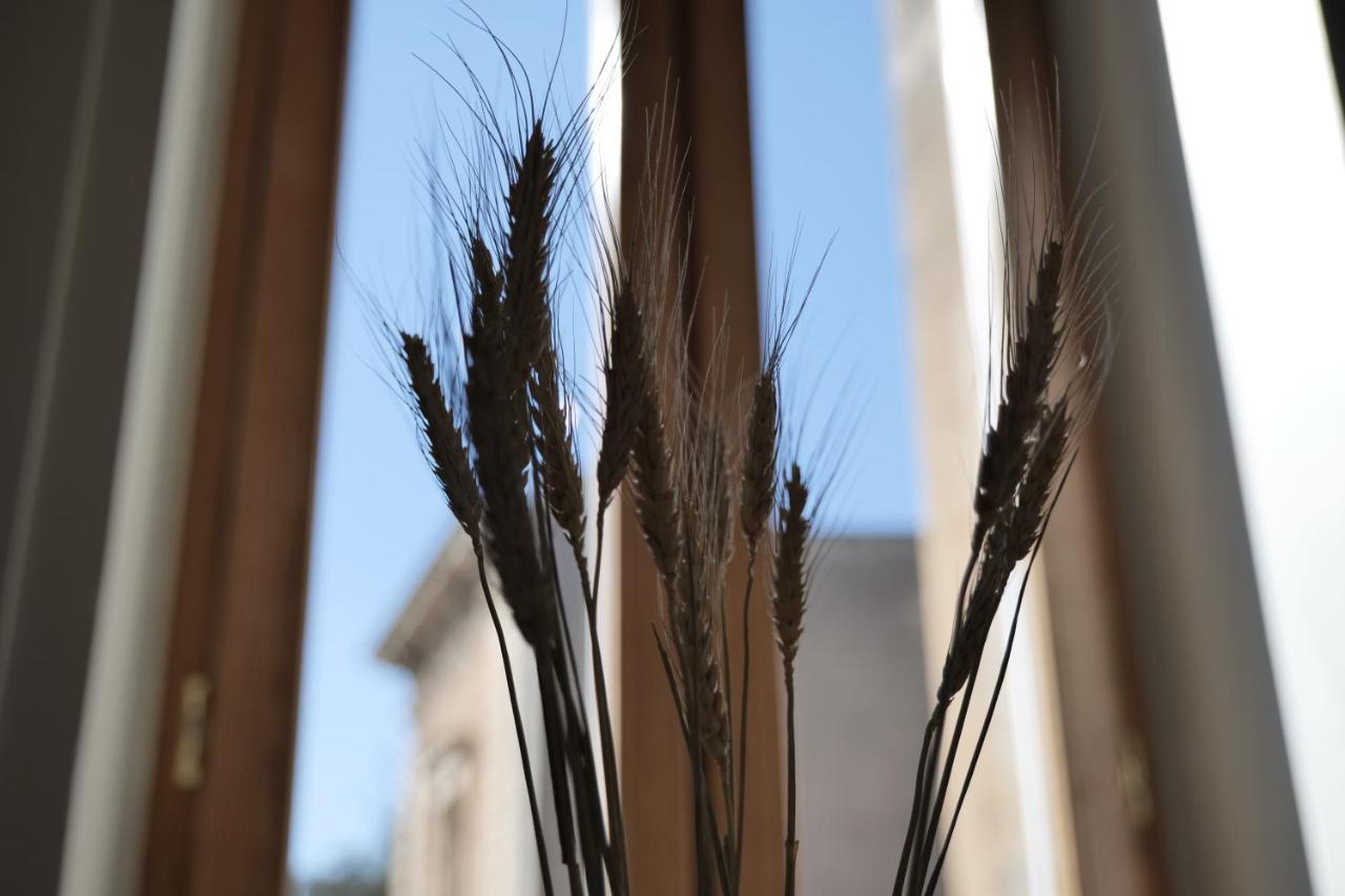 Dimora San Giuseppe Bed & Breakfast Lecce Exterior foto